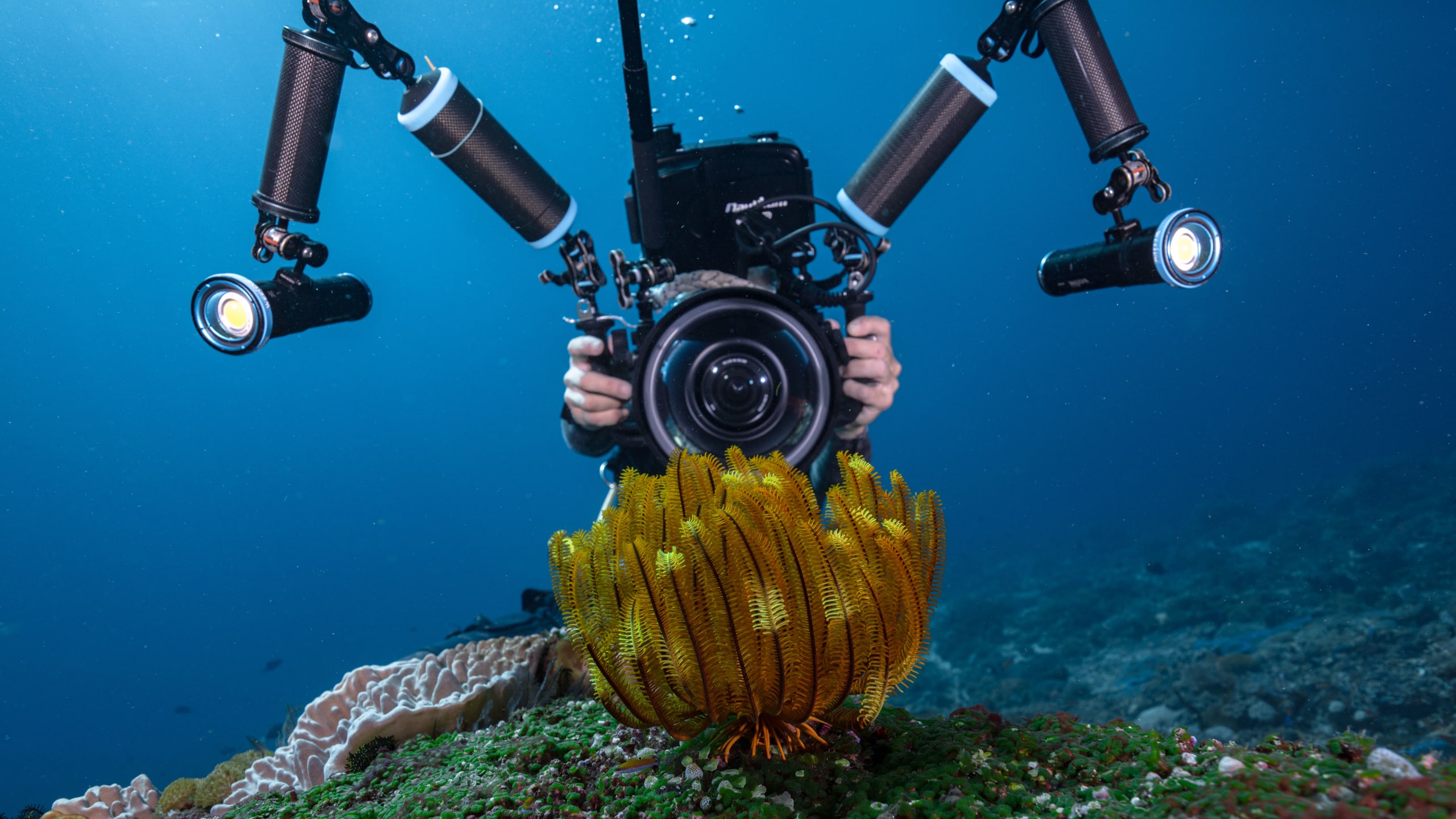 Photo and Video Nusa Penida
